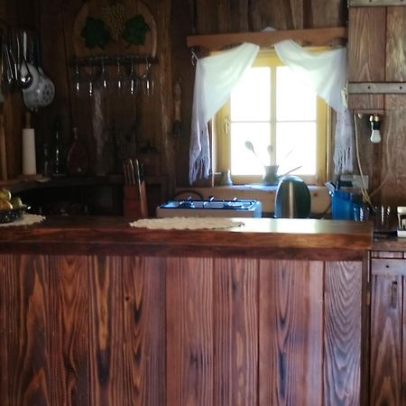 Vacation House Spiritus Flumine Netretic Exteriör bild